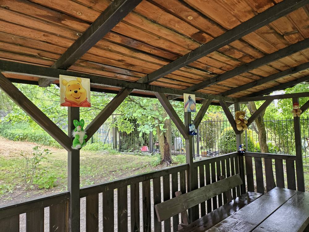 503643395 1223212782836819 3754956620826333264 n